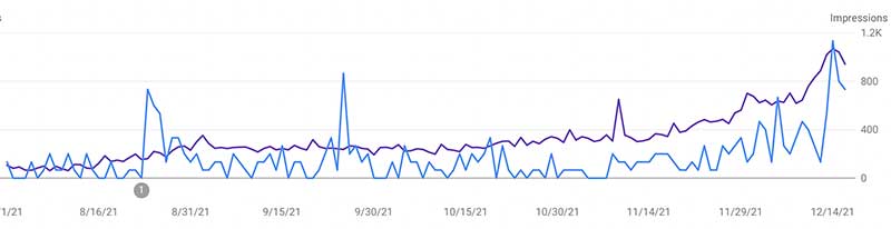 SEO results example Leicester